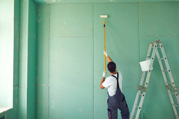Environmental Consulting for Mold Prevention in Dickinson, ND
