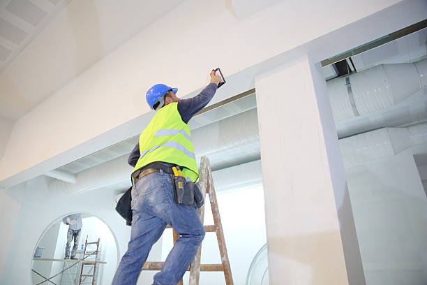 Best Real Estate Mold Inspection  in Dickinson, ND