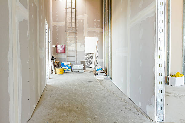 Best Mold Prevention Services  in Dickinson, ND